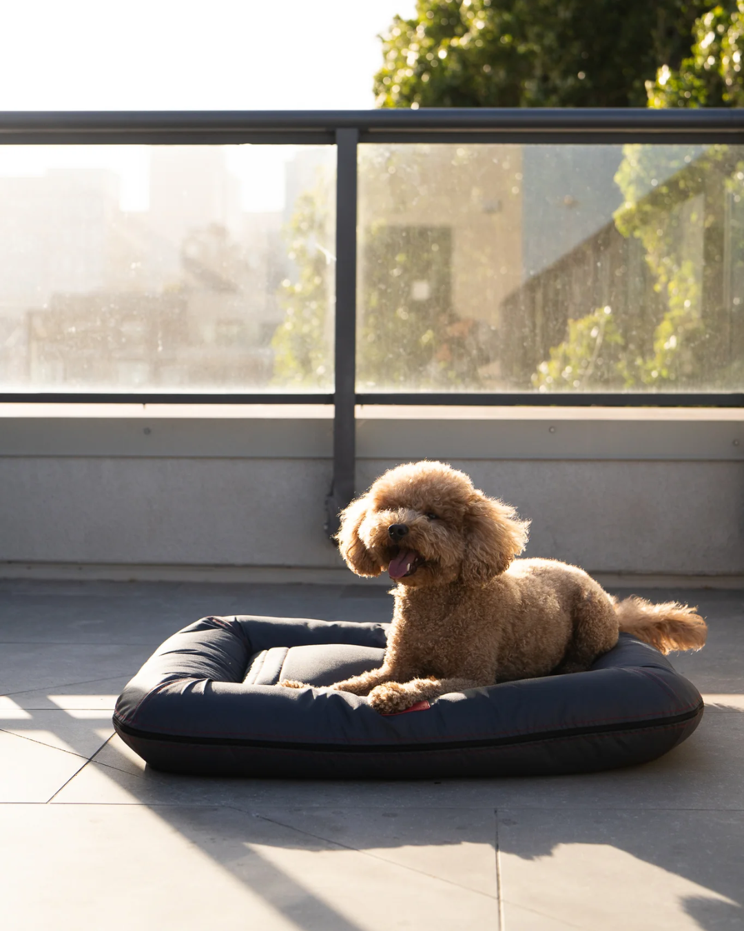 Chester & Lee | Waterproof Lounger Dog Bed Gray