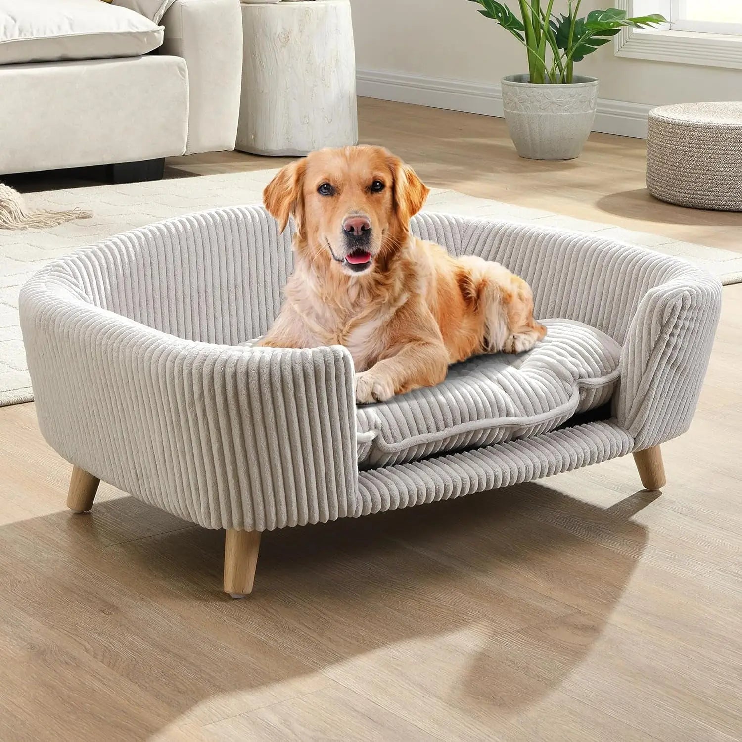 Corduroy Elevated Dog Sofa Bed with Wood Legs | Modern Living Suite
