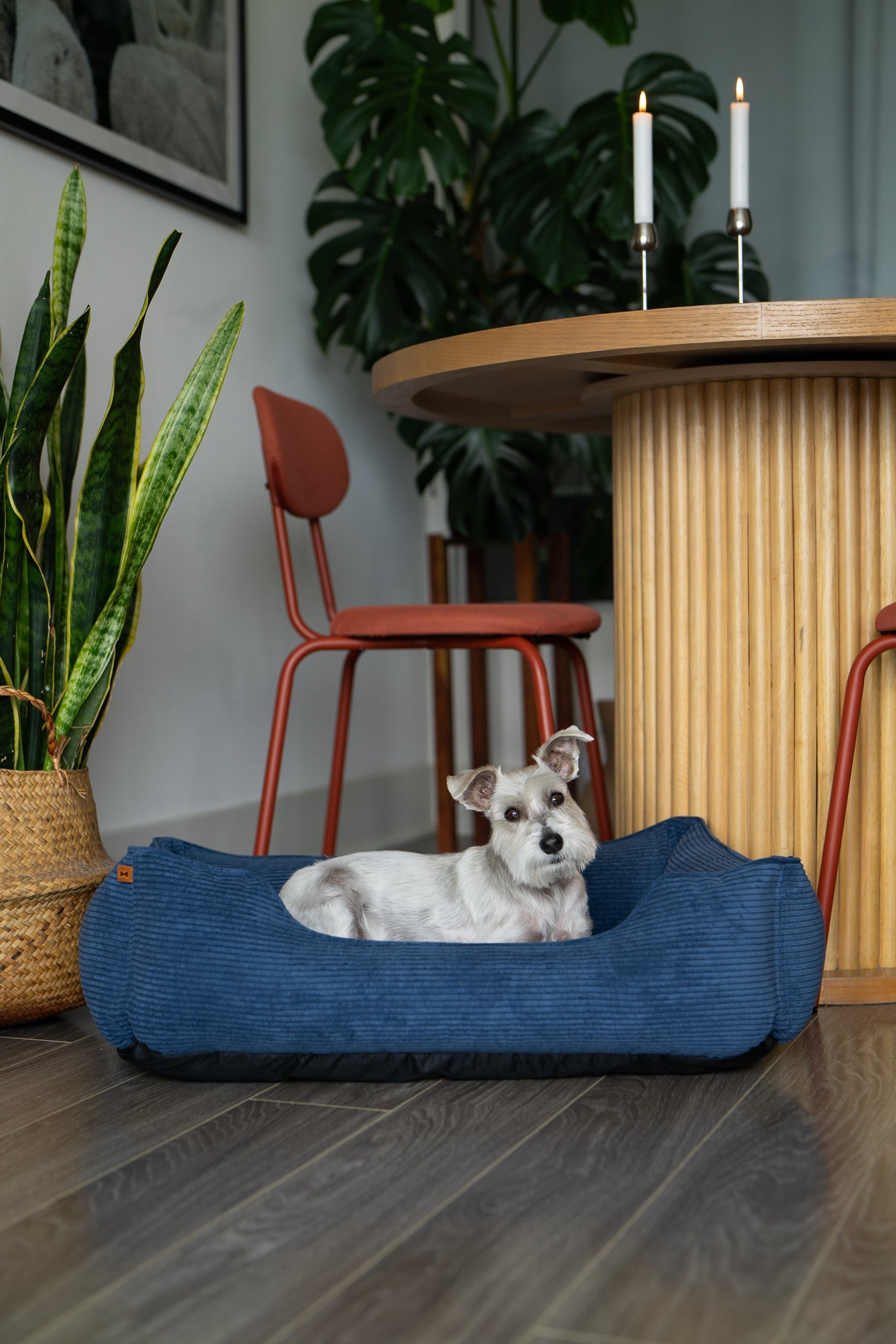 Chester & Lee | Fancy Corduroy Sleeper Dog Bed