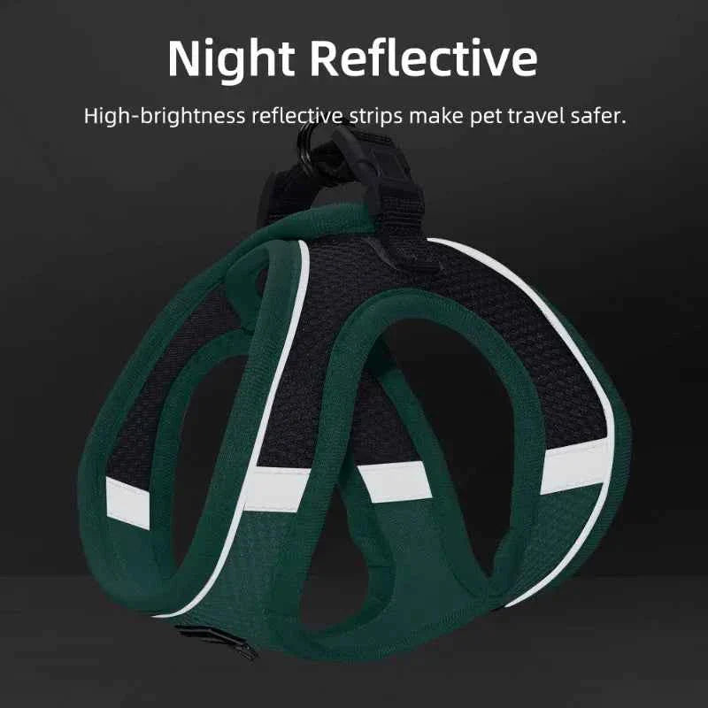 Adjustable Dog Harness & Leash Set for Small Dogs – Comfortable & Safe Walking Gear