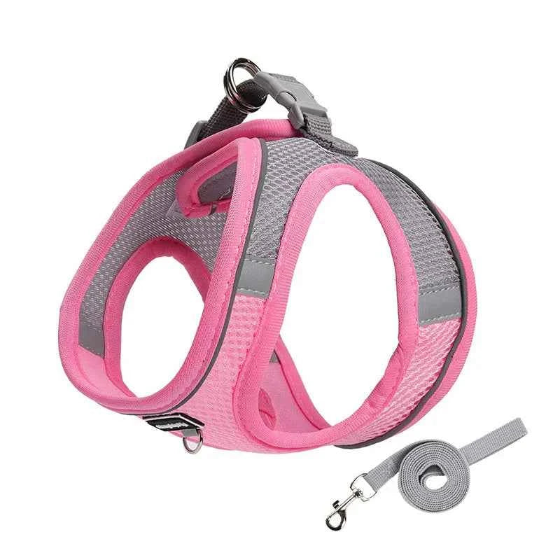 Adjustable Dog Harness & Leash Set for Small Dogs – Comfortable & Safe Walking Gear