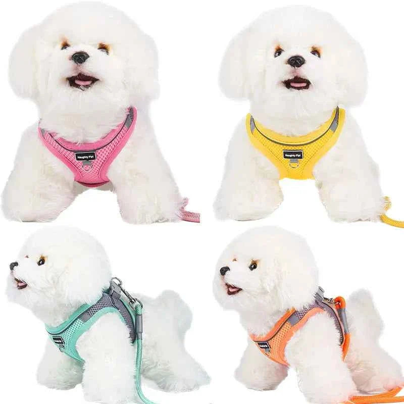 Adjustable Dog Harness & Leash Set for Small Dogs – Comfortable & Safe Walking Gear