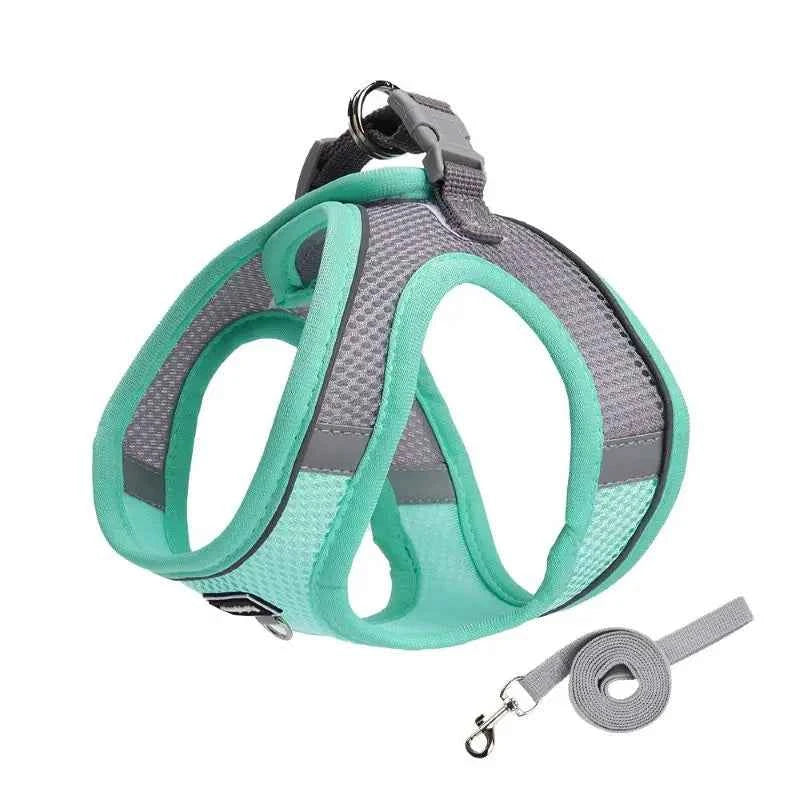Adjustable Dog Harness & Leash Set for Small Dogs – Comfortable & Safe Walking Gear